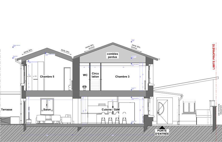 Extension de 50m² - Vue en coupe