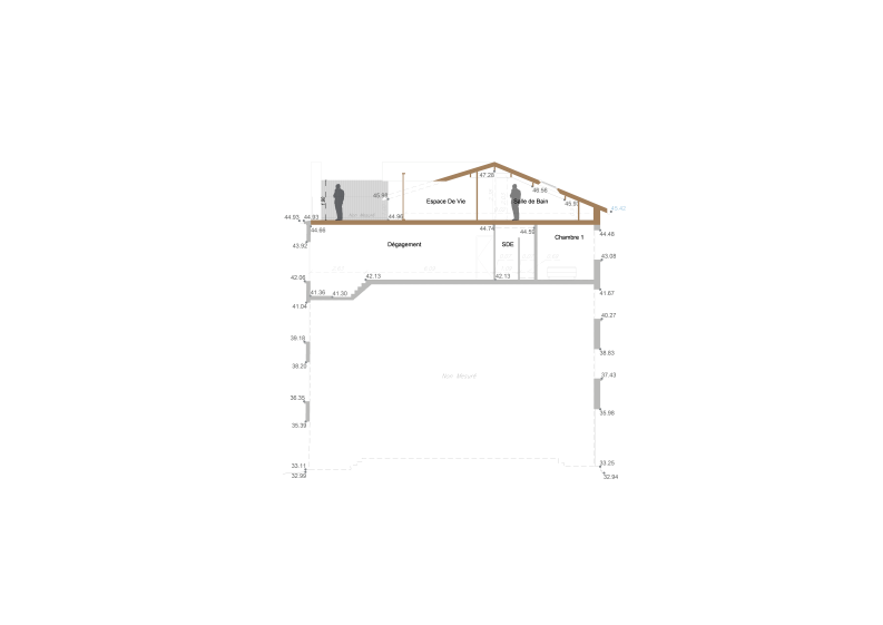 Coupe du projet : aménagement des combles et création d'une toiture accessible.