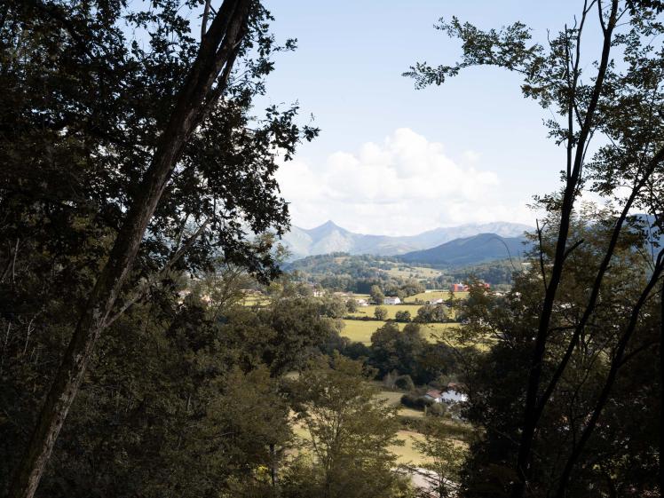Vue sur le grand paysage