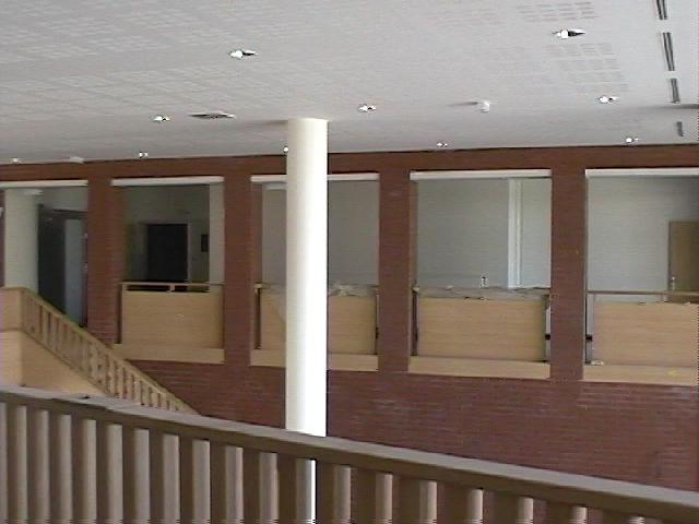 P61