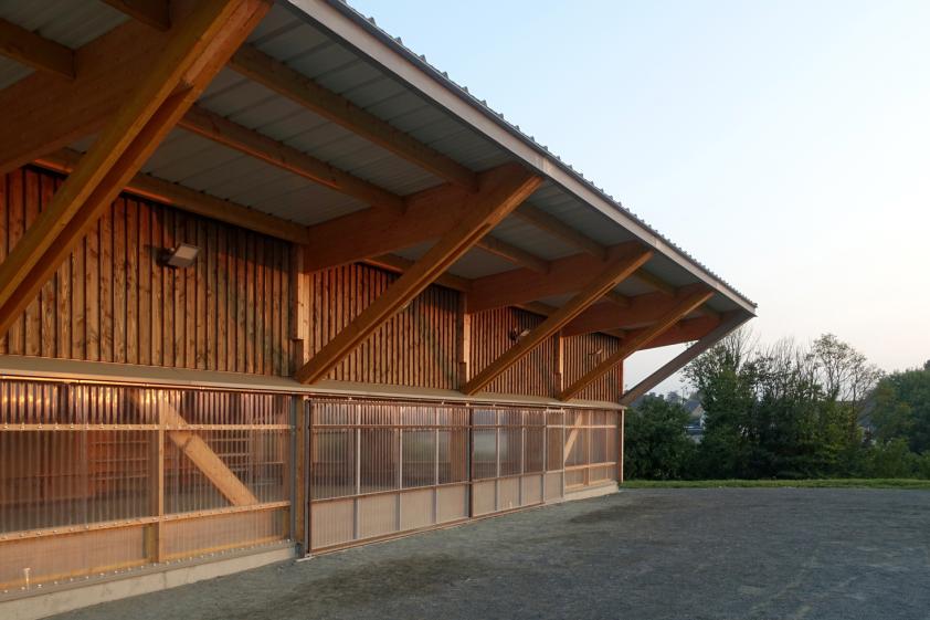 Halle Plourivo