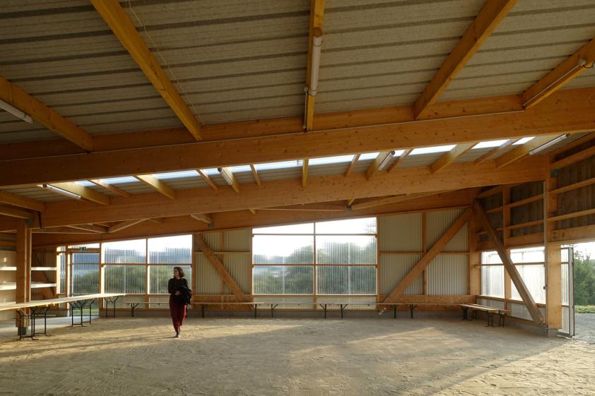 Halle Plourivo