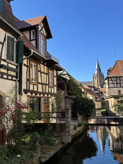 Réhabilitation d'une maison Alsacienne