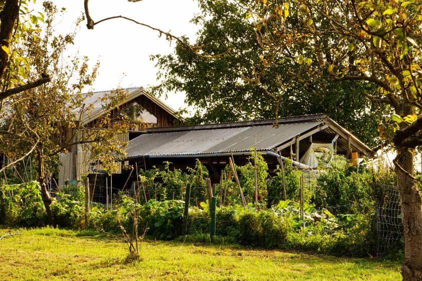 Réhabilitation d'un hangar en tiers-lieux