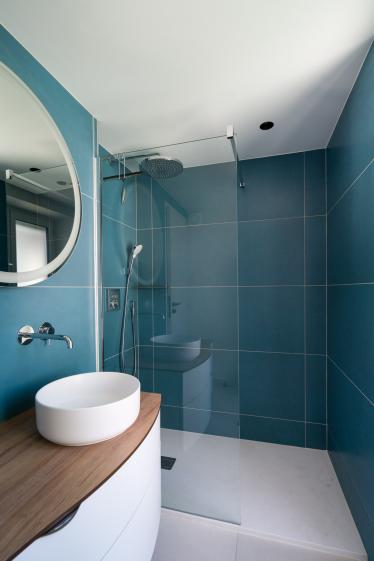 Salle d'eau de l'appartement (douche + vasque)