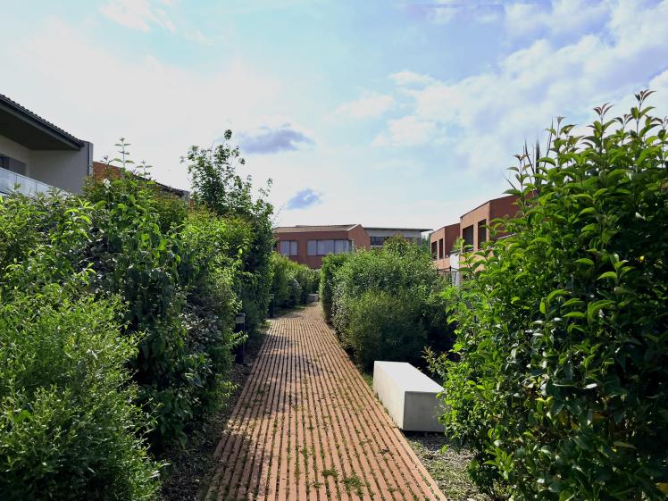 Vue depuis la venelle piétonne (2025)