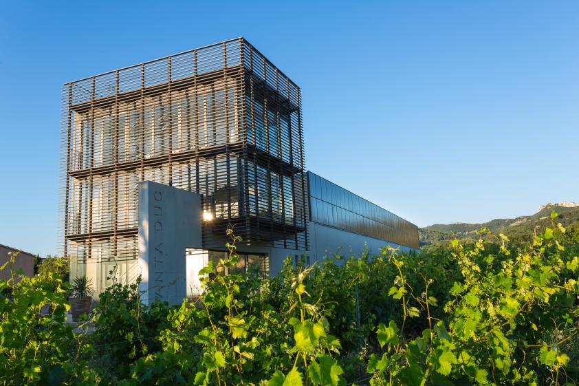 Domaine viticole - Construction contemporaine  