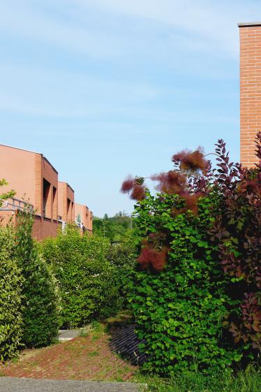Détail de l'accès piéton ouest depuis la rue Louis Blériot (2025)