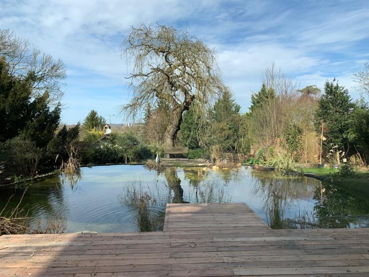 Bassin naturel  et bio-diversité