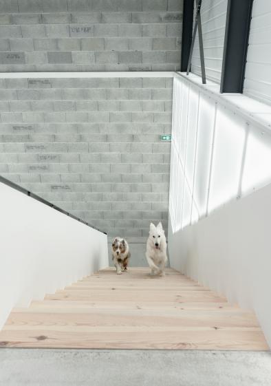 Escalier sur mesure en bois brut, aux lignes simples et naturelles.