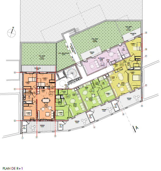 COCHET - Plan R+1