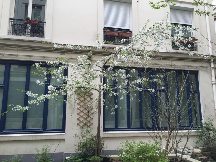 Cour