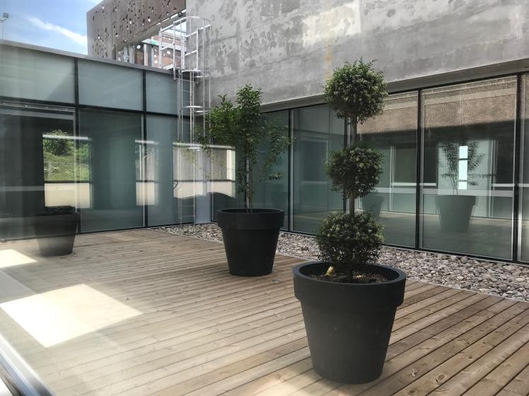 ©E&F Architect