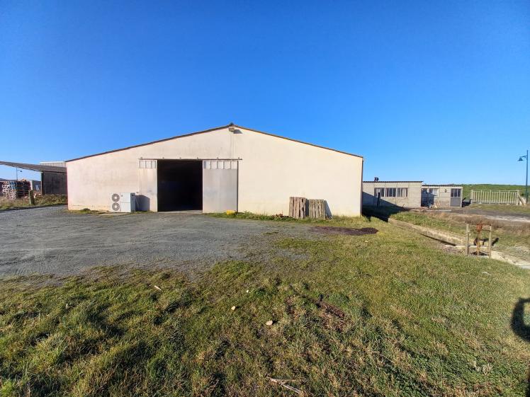 Façade arrière, avant travaux Bâtiment industriel, bâtiment aquacole, rez-de-chaussée, maçonnerie enduite, porte coulissante métallique