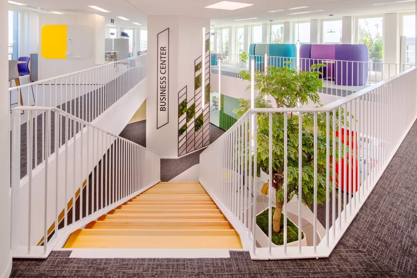 Zone Collaborative 02