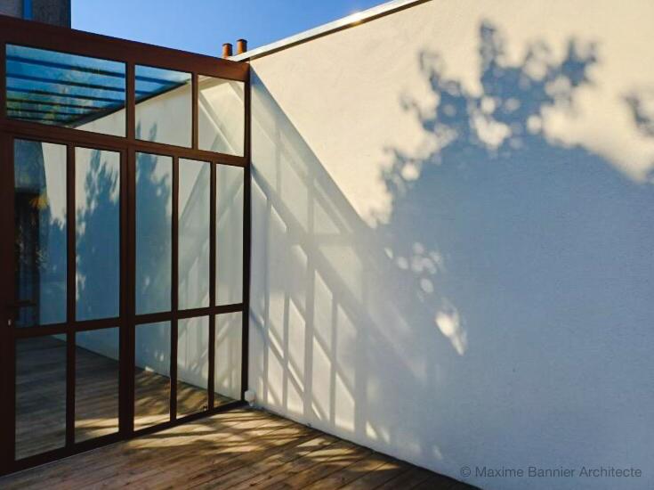 Ombre portée ombre portée de l'abricotier de la petite cours sur le mur mitoyen existant