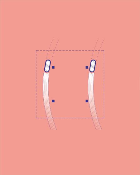 Schéma : se déplacer et parader