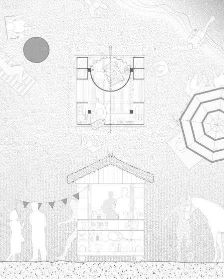 Plan et coupe du projet Plan et coupe du projet