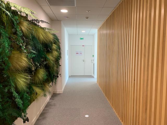 Entrée avec mur végétal