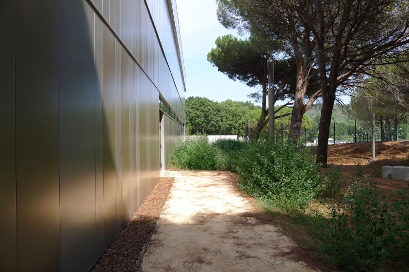 Création d'un cheminement PMR à travers la pinède, donnant acces aux gradins