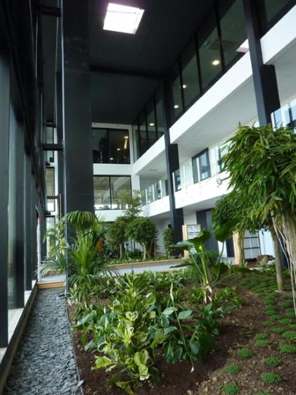 Immeuble Le Marin Immeuble Le Marin