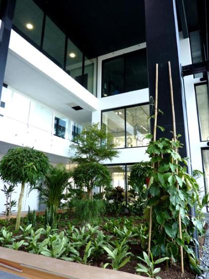 Immeuble Le Marin Immeuble Le Marin