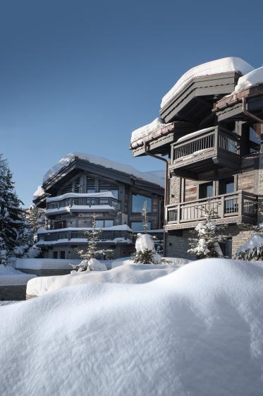 CHALETS TWIN & BROTHER - ARCHIDOMO (tous droits réservés)