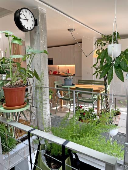 Passerelle d'entrée et jardin intérieur