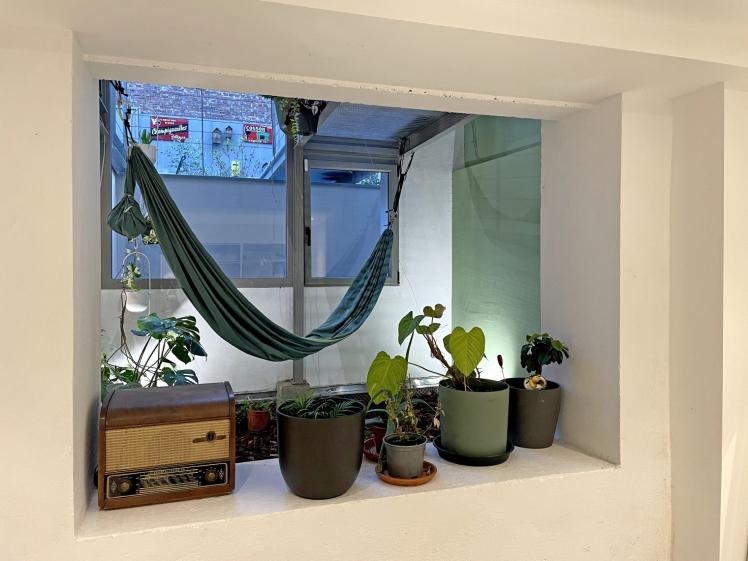 Vue du jardin intérieur depuis le sous-sol