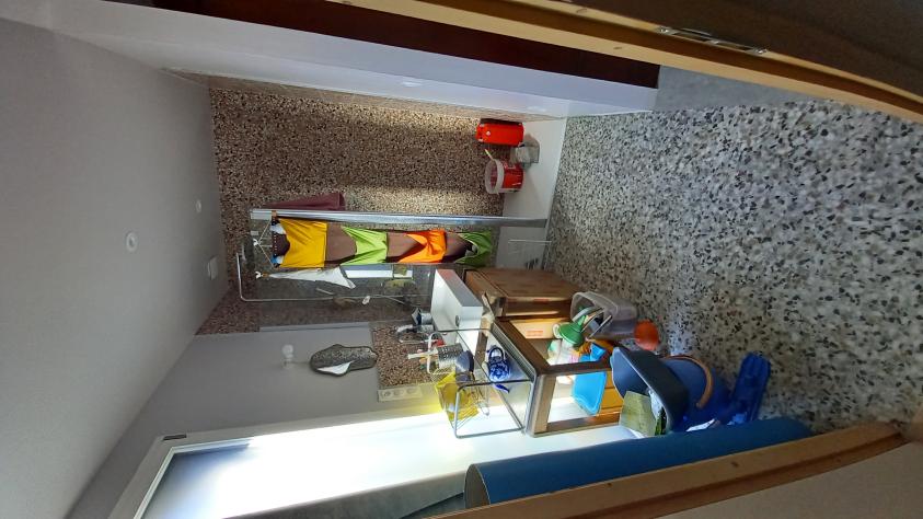 salle d'eau des parents