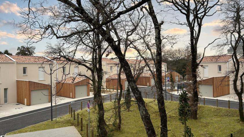 Des maisons dans les arbres