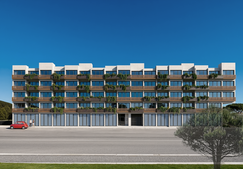 Elévation colorisée du projet