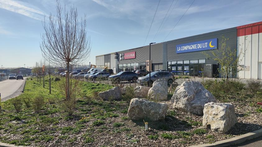 Vue de la noue paysagère plantée en 2023