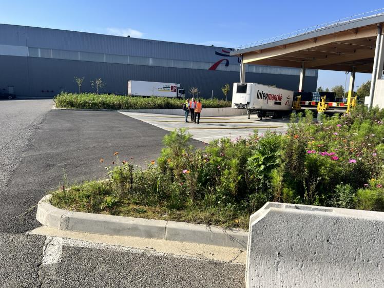 Toit végétal - quais