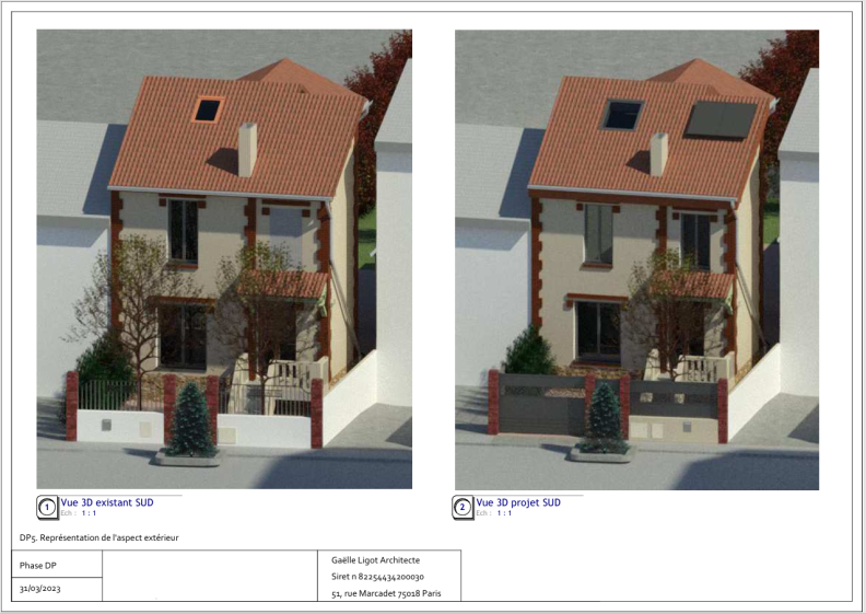 Extrait dossier DP - Représentation du projet