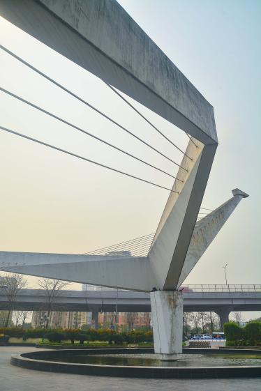 Chim Lac Viet, Cong Vien Hoa Binh, Ha Noi, millénaire Hanoi, Vietnam, Jardin Planétaire, espaces publics, espaces verts, biodiversité, écosystème, transition écologique