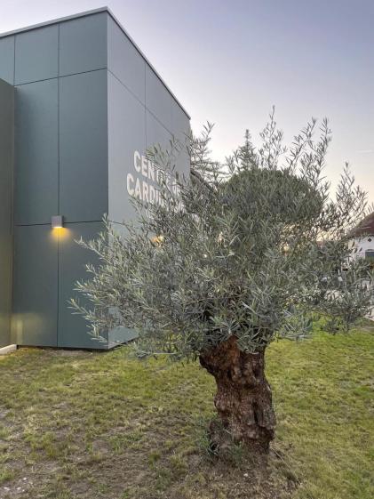 L'extension abrite les circulations verticales notamment l'ascenseur à brancards ainsi que les circulations horizontales.