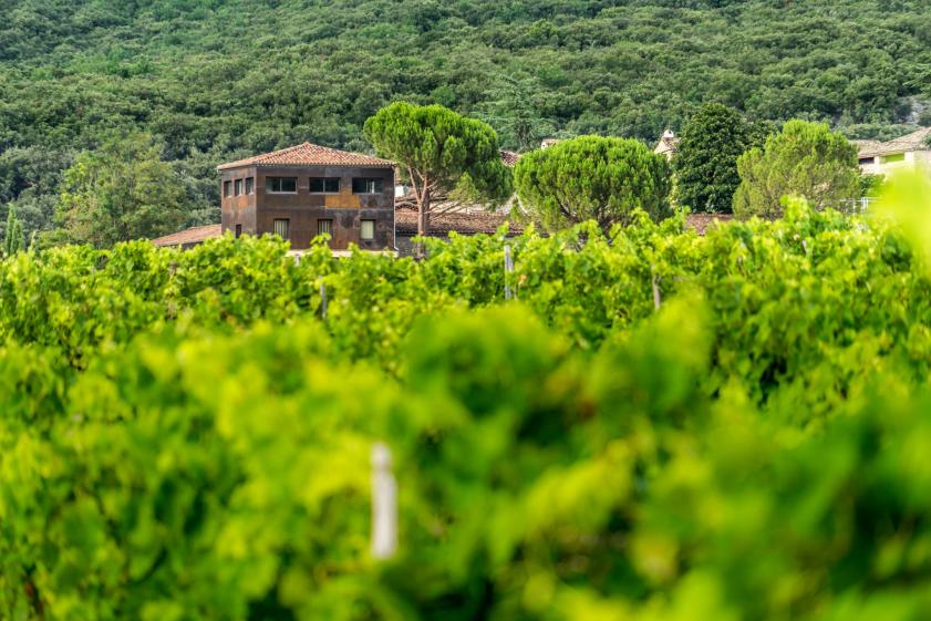 Traitement des façades en acier corten