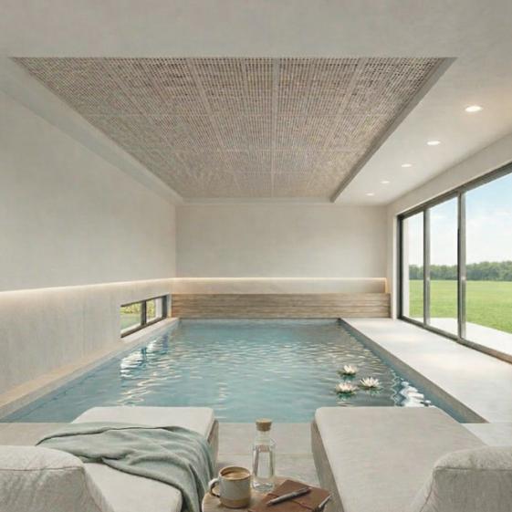 Piscine intérieure depuis détente