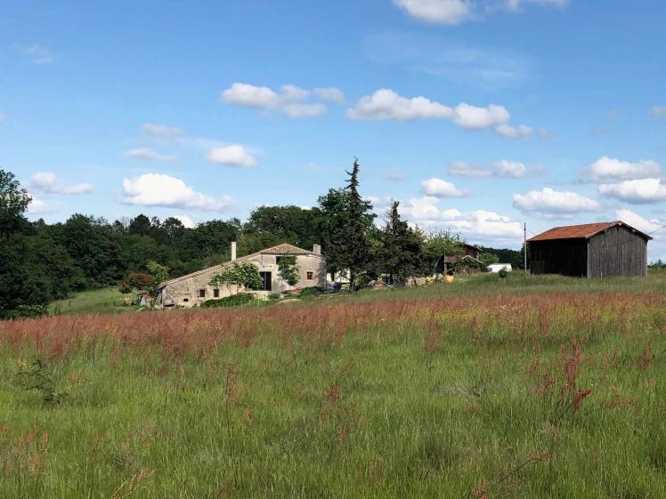 PEYROUTEOU paysage