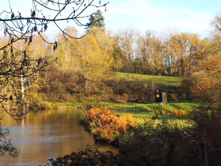 Le sauna dans son environnement 