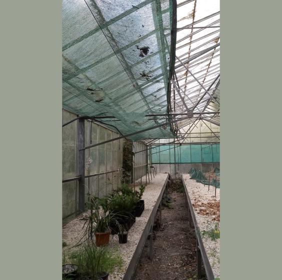 Photo d'avant travaux