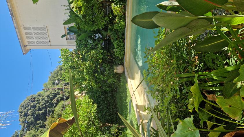 Détail piscine