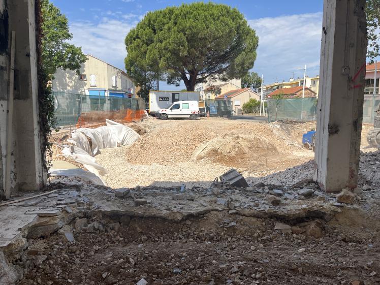 Dépollution des sols