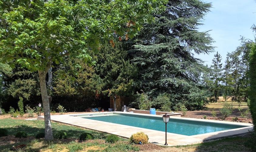L’espace de baignade niché au milieu des arbres