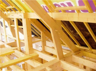 Maison structure bois