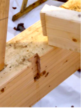 Maison structure bois