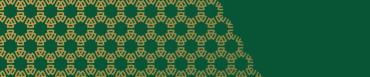 pattern-vert-jaune_bandeau.jpg