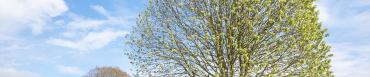 onziemee_plourin-3115.jpg