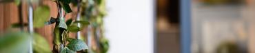 bsa_st_laurent_d_agny_dsc_1008_sd.jpg